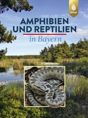 cover image of Amphibien und Reptilien in Bayern